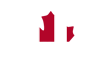 Logo NewCanadian